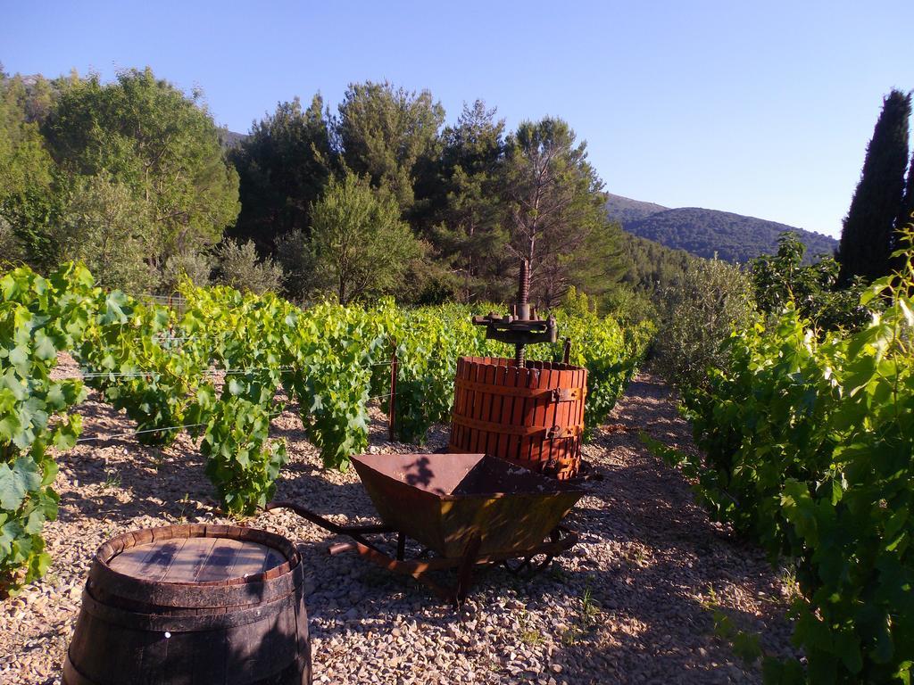 Au Havre De Paix Sainte Victoire Vauvenargues Hotel Exterior foto